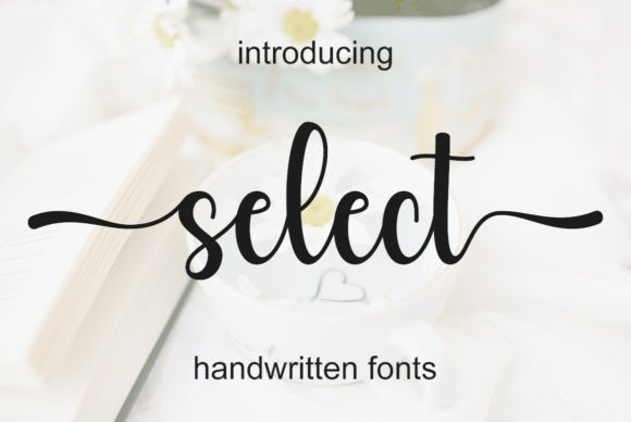 Select Font: Elegant Handwritten Typography for Scroll-Stopping Brand Content