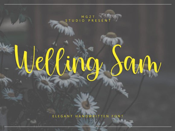 Welling Sam: A Refined Handwritten Script Font for Thoughtful Branding